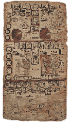Página del Códice de Madrid con figuras, glifos y signos calendáricos mayas